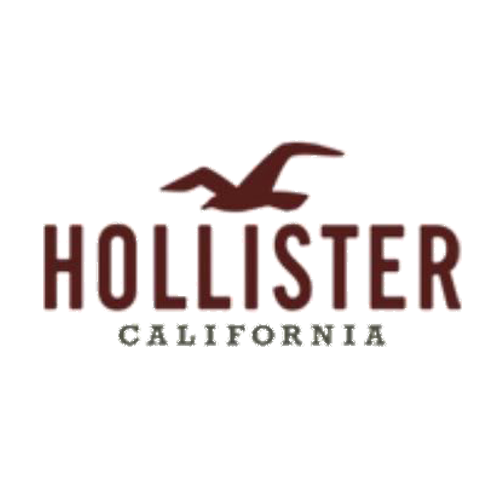 Hollister Co. Rabattcodes